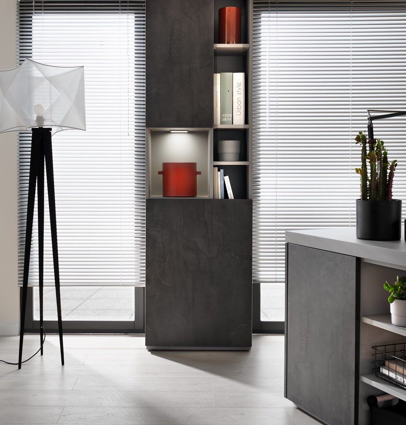 Picture 1.1 – Home Living