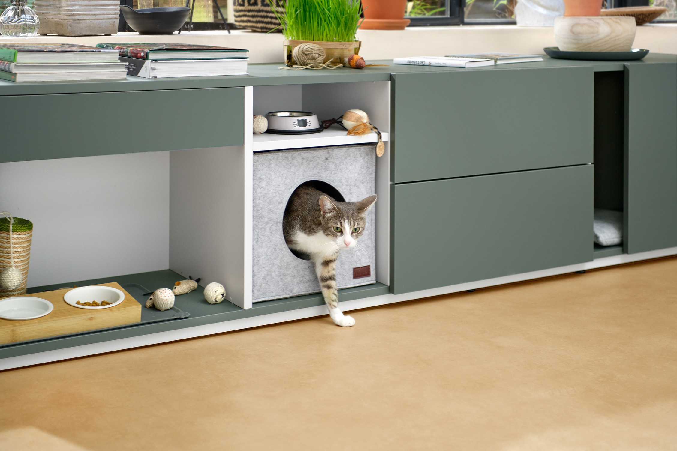 Picture 6 – Home Living 2000px
