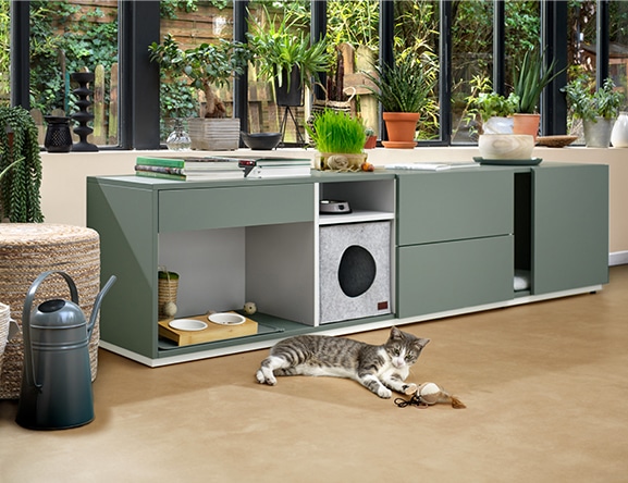 Picture 6.1 – Home Living form img